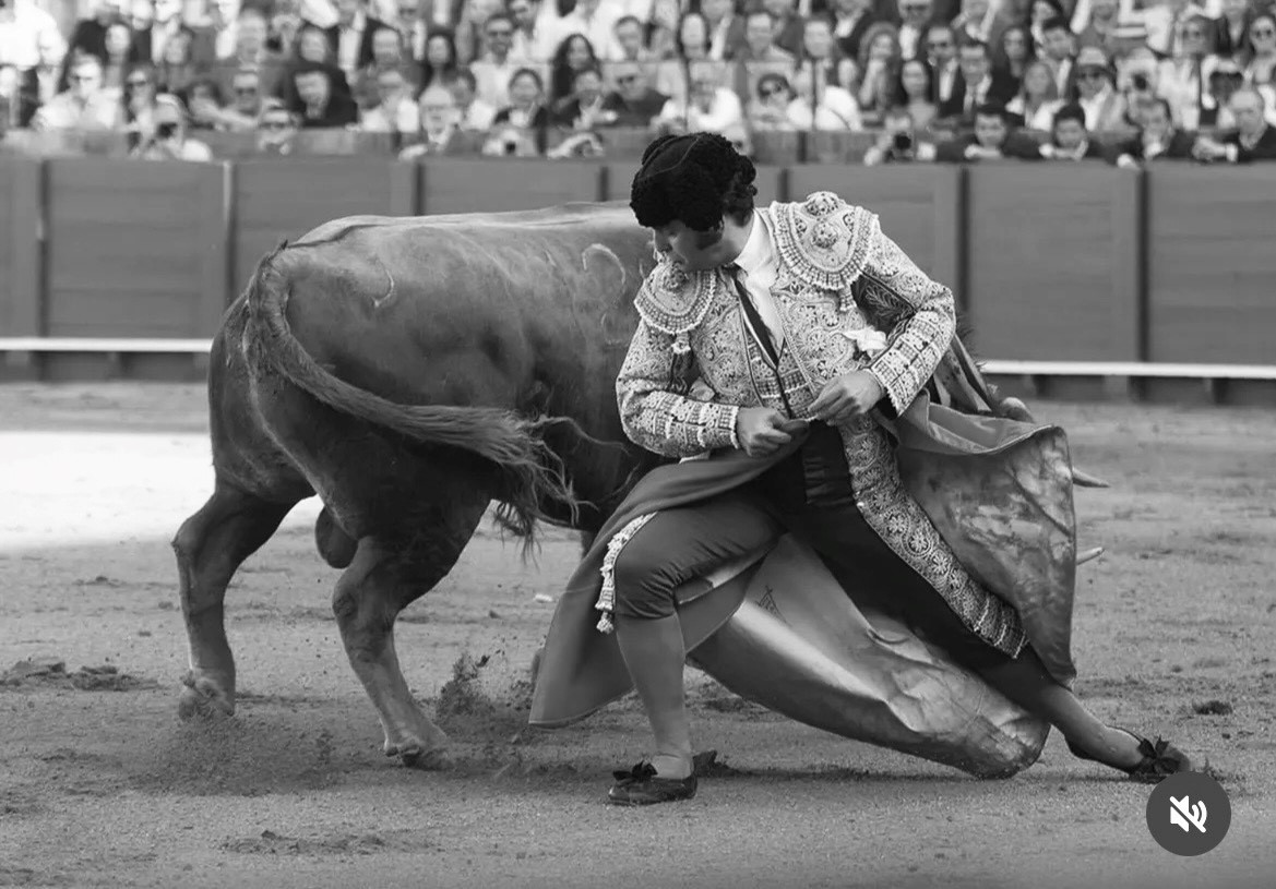 MORANTE DE LA PUEBLA ou les mystères du toreo – Image 3